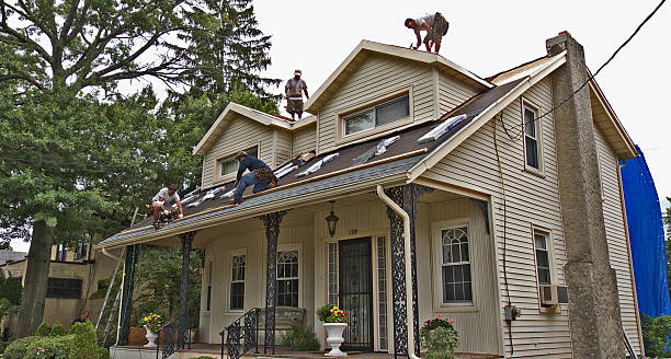 Best Roof Maintenance Services  in Pine Brook, NJ